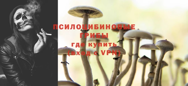 прущий лед Белокуриха