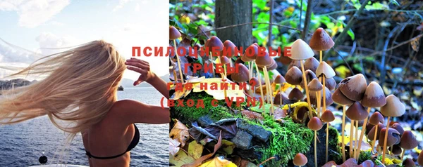 сатива Балабаново