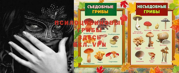 прущий лед Белокуриха